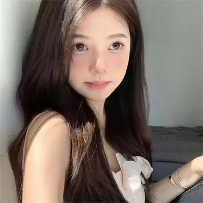 鲨与鲸